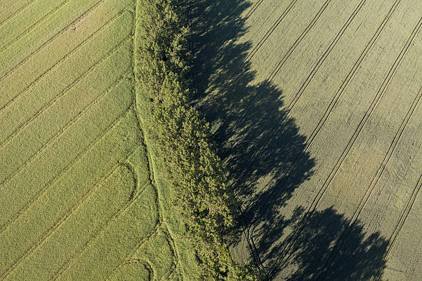 istock aerial view of the  harvest fields 543992676