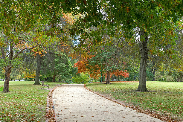 istock Oak trees in the park turning into Autumn orange shade 543992998