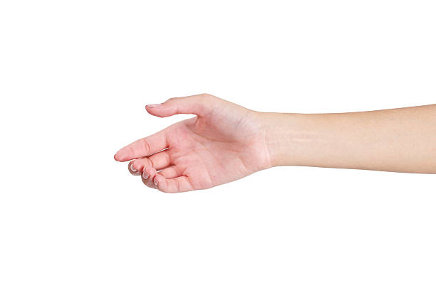 istock Woman's hands giving her hand for handshake with front side. 543993360