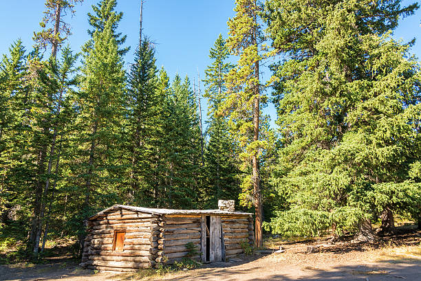 istock Abandoned Homestead Cabin 543994268