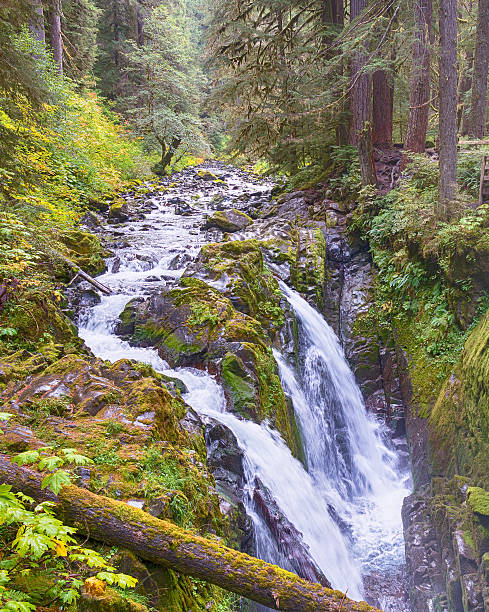 istock Sol Duc River Falls, Olympic National Park, WA 543994688