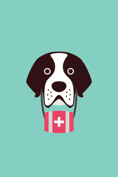 ilustraciones, imágenes clip art, dibujos animados e iconos de stock de lindo perro de san bernardo, ilustración vectorial - saint bernard