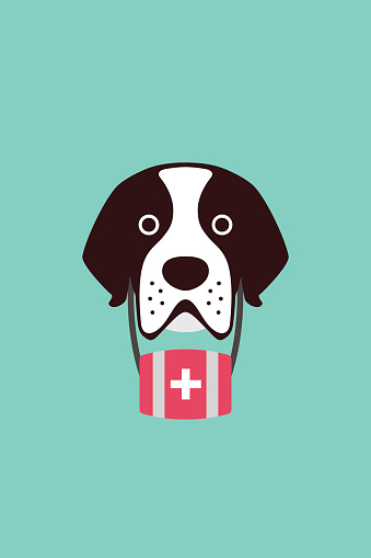 cute Saint Bernard dog, vector illustration