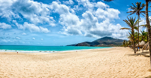 열대 하얀 모래 해변, 코코넛 나무 카리브해 - venezuela 뉴스 사진 이미지