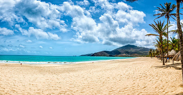 tropical praia de areia branca com coqueiros no caribe - travel destinations vacations exoticism beauty in nature - fotografias e filmes do acervo