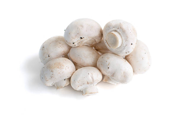 istock Small pile of Champignon mushrooms on a white background 543997150
