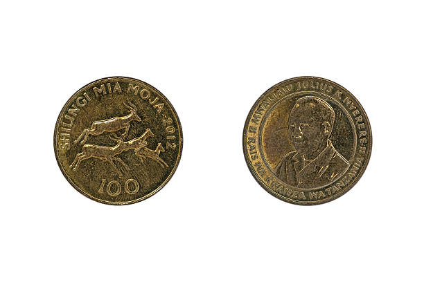 istock Tanzanian one hundred shilling coin 543997500