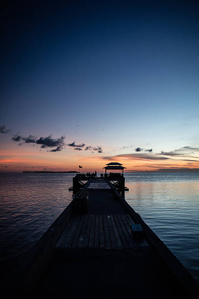 istock Sunset and Jetty in Tropical Pacific 543998906
