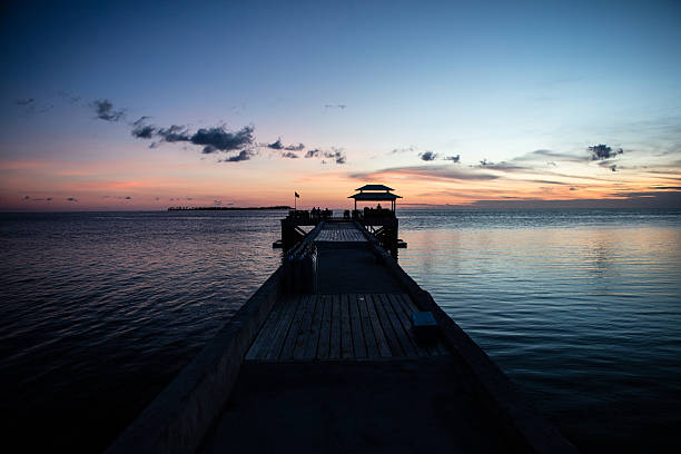 istock Resort Jetty on Remote Tropical Pacific Island 543998918