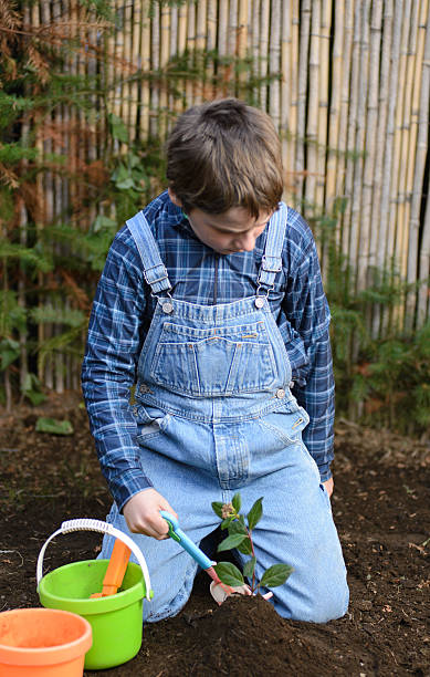 istock Planting a Tree to Improve the Climate Change 543999108