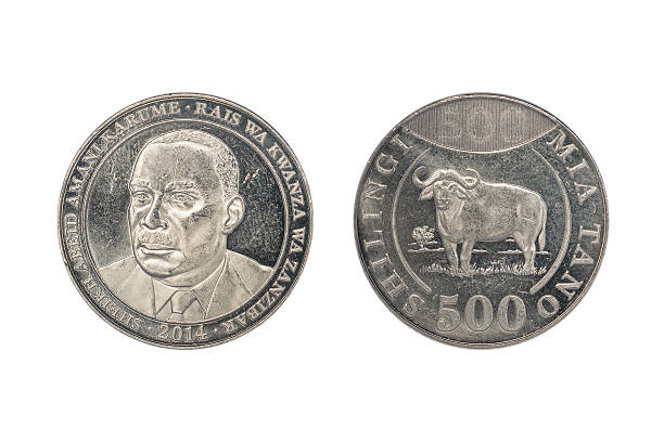 istock Tanzanian five hundreds shillings coin 543999160