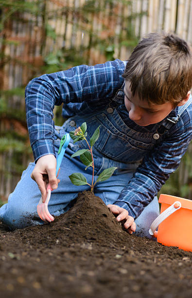 istock Planting a Tree to Improve the Climate Change 543999640