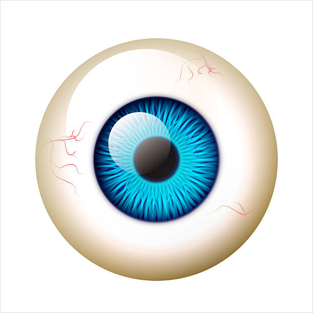 istock Super Detail Blue Eye 544002036