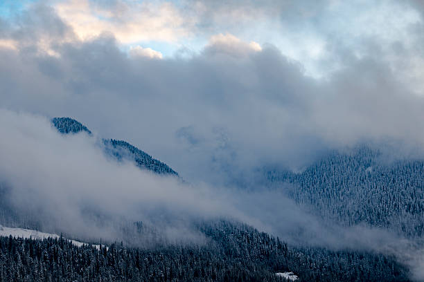 istock Looming Foggy Forest Clouds Clearing After Fresh Snowfall 544002076