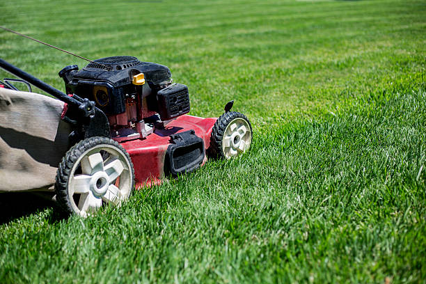 istock Mowing the lawn outdoors 544094104