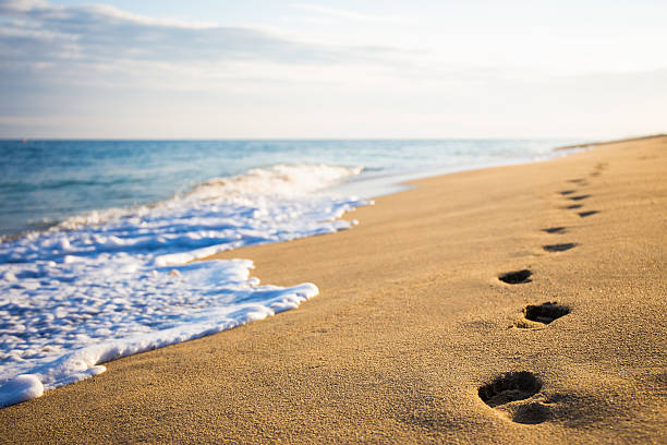 istock close up of footprints on sandy beach 544095696