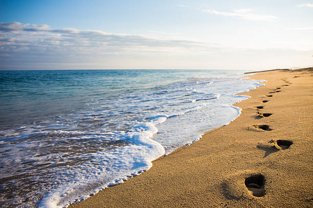 nahaufnahme von fußabdrücken im sand bei sonnenuntergang - einsamkeit fotos stock-fotos und bilder