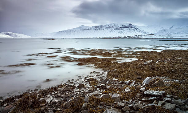 istock Icelandic coast near Kirkjufell 544097486