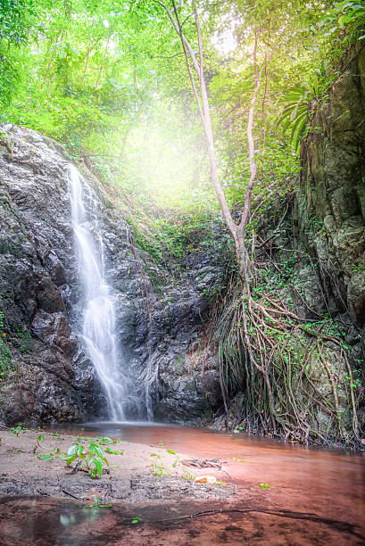 schöner wasserfall an einem berghang im tiefen wald. - natural phenomenon waterfall rock tranquil scene stock-fotos und bilder