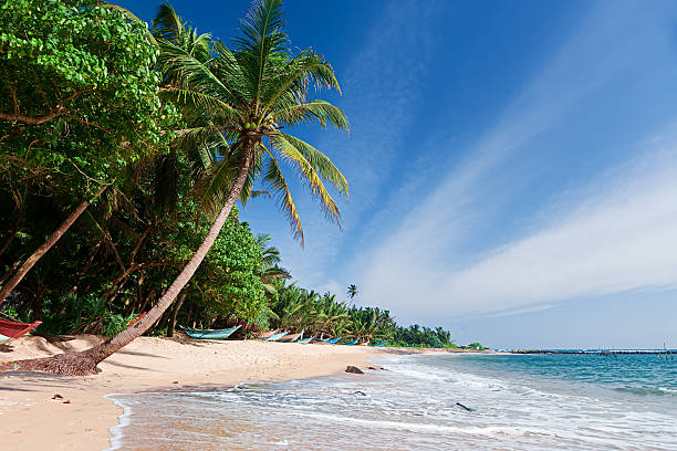 istock Tropical paradise - idyllic beach on south coast, Sri Lanka 544103710