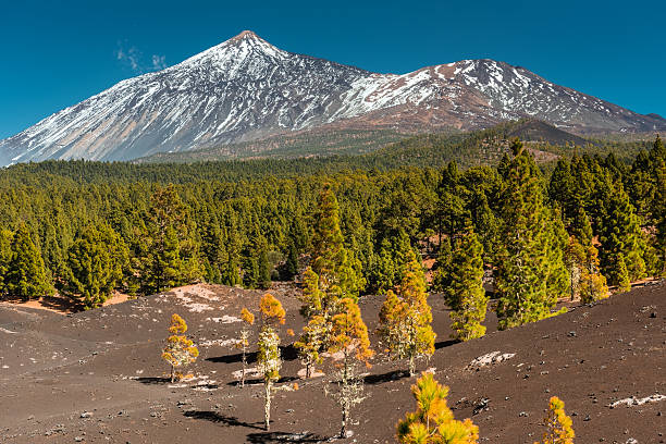 istock Teide National Park Tenerife Canary 544104178
