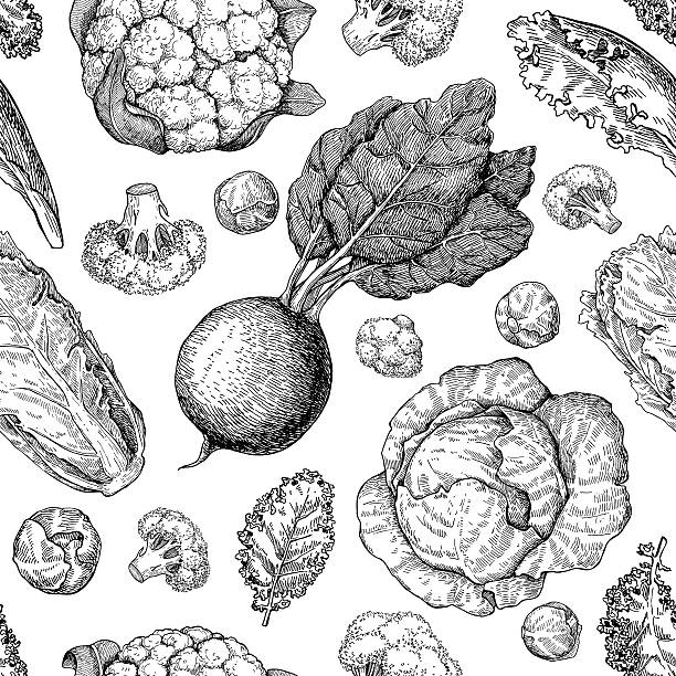 Vegetable drawing seamless vector pattern. Farm market products. Beetroot, cabbage, broccoli, cauliflower, lattuce, chinese cabbage. Detailed vegetarian food drawing.