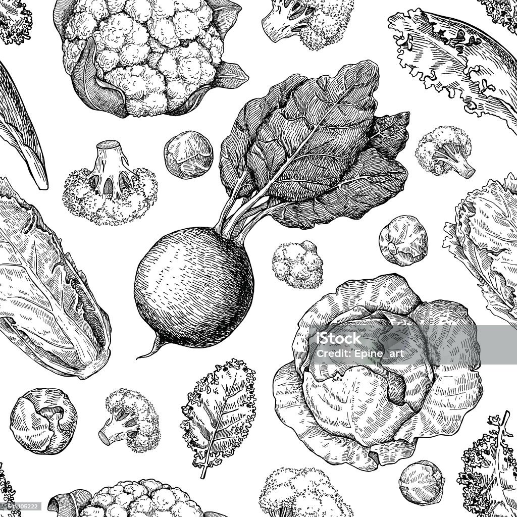Vegetable drawing seamless vector pattern. Farm market products. Vegetable drawing seamless vector pattern. Farm market products. Beetroot, cabbage, broccoli, cauliflower, lattuce, chinese cabbage. Detailed vegetarian food drawing. Old-fashioned stock vector