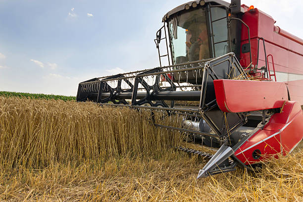 istock Combine harvester harvesting wheat. Grain harvesting combine. 544106614