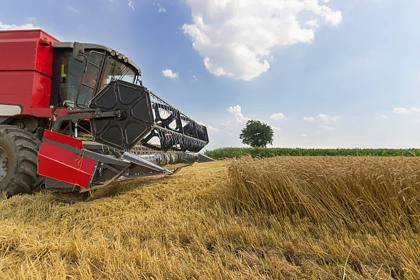 istock Combine harvester harvesting wheat. Grain harvesting combine. 544106722