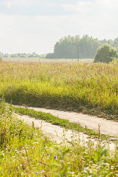 istock Road in meadow with blooming wild flowers 544108440