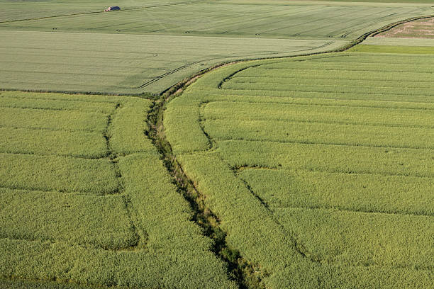 istock aerial view of the  harvest fields 544108660