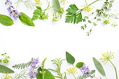 medicinal herbs on white background