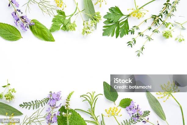 Medicinal Herbs On White Background Stock Photo - Download Image Now - Herbal Medicine, Herb, Backgrounds