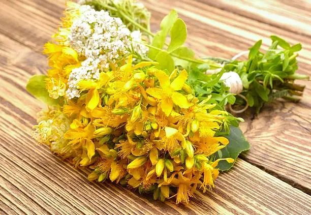 Hypericum flowers and yarrow flowers on wooden background