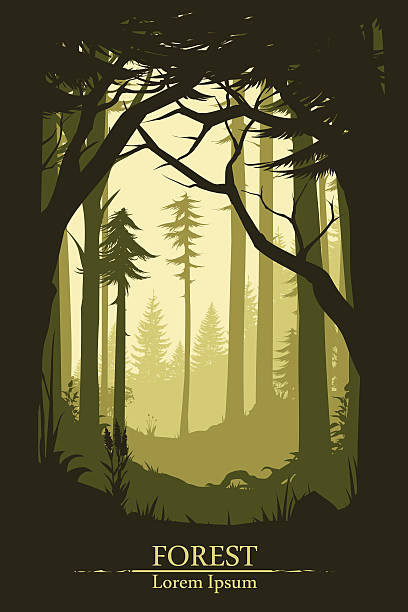 Forest illustration background Forest illustration background in vector pine trees silhouette stock illustrations