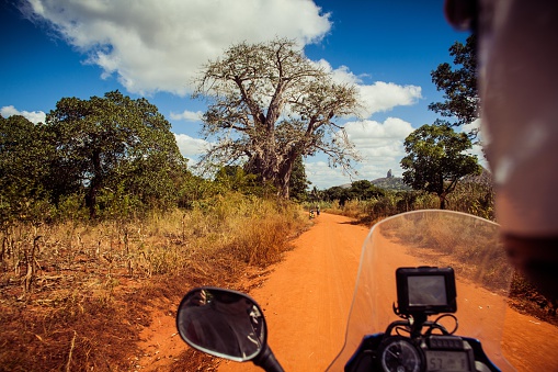 Motorcyclists looks at baobab tree in Mozambique while riding with GPS on rural countryside road in a summer day.