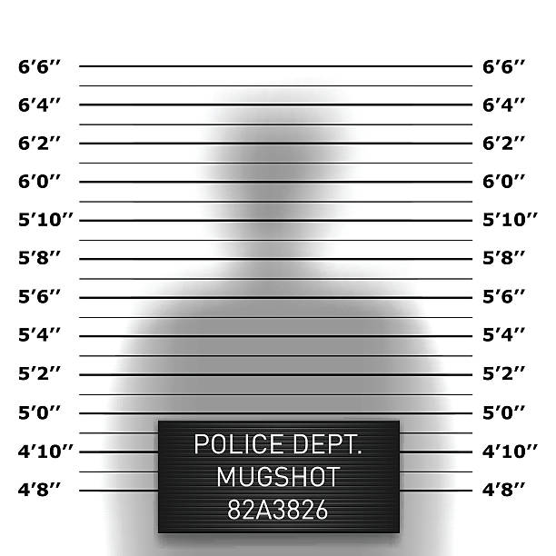 policji ręczny mugshot wzór - lineup stock illustrations
