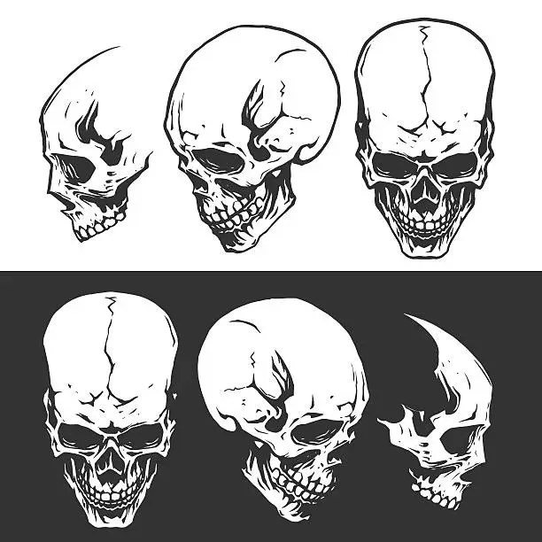 Vector illustration of Black and white skulls