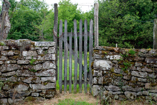 istock Old door in countryside 544120028