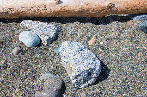 Close up of Pacific Northwest beach with sand, stones and driftwood.