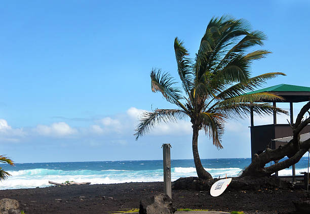 istock Lifeguard Shack on Punaluu Beach 544123370