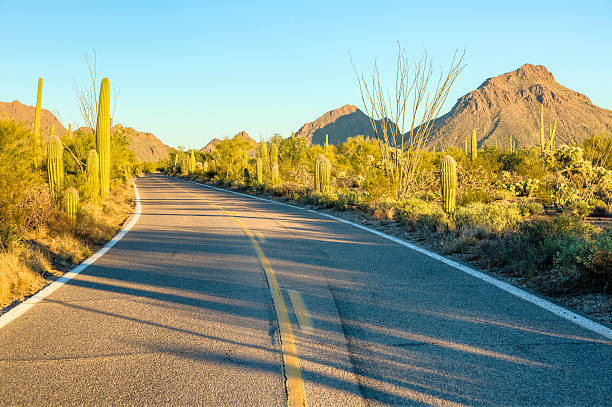 istock McCain Loop Road near Saguaro National Park West 544123564