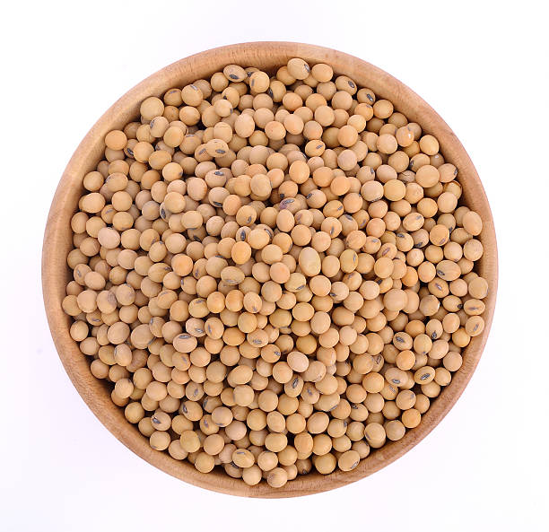 istock Soybeans in Wood Cup isolated on white background 544125090