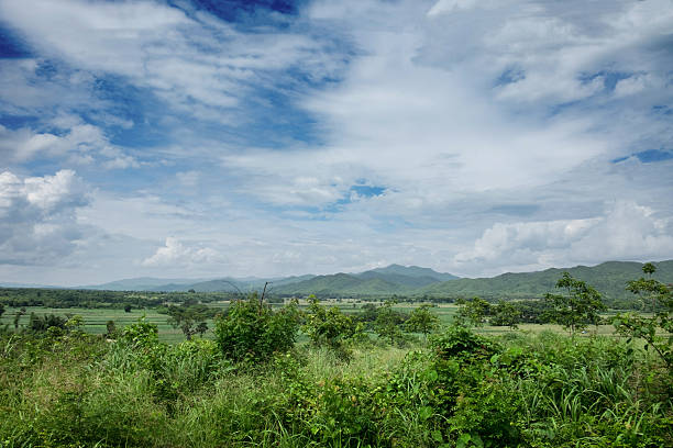 istock Blur mountain and forest landscape 544125228