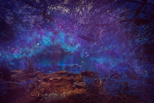 Mystery night at deep forest with flowing particle light