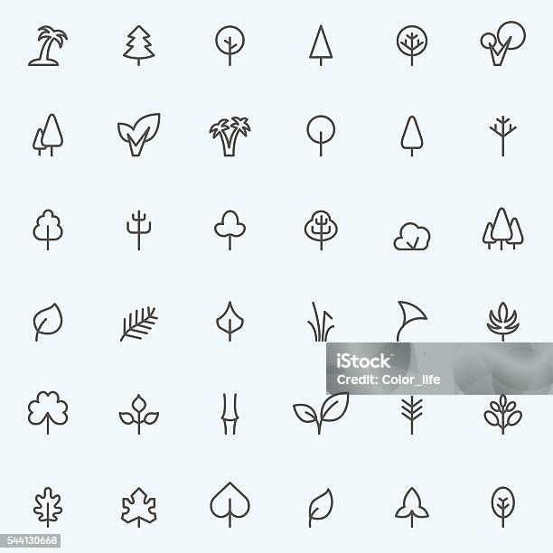 Set Of 36 Tree And Leaf Icons Stock Illustration - Download Image Now - Tree, Icon Symbol, Palm Tree