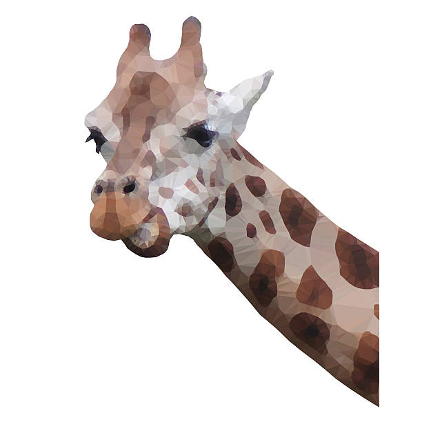 Triangular Giraffe Cartoon 110+ Giraffe Portrait White Background Stock Illustrations, Royalty ...