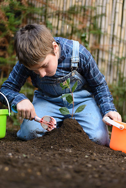 istock Planting a Tree to Improve the Climate Change 544135904