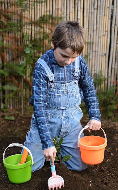 istock Planting a Tree to Improve the Climate Change 544138302