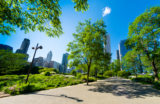 Part of the public gardens in Millenium Park in Chicago, Illinois, USA. Logos removed and people too small to be recognisable in distance.